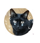 くろねこミユウ2（個別スタンプ：6）