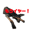 トイマンチェスターテリア★JOHN★（個別スタンプ：23）