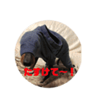 トイマンチェスターテリア★JOHN★（個別スタンプ：37）
