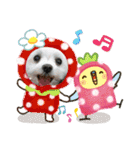 マルチーズ メリーゴーランド2（個別スタンプ：8）