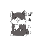 オオカミになりそこねたイッヌ（個別スタンプ：1）