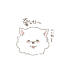 ドンのダディ（個別スタンプ：12）
