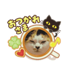 おねこ様スタンプ1（個別スタンプ：1）