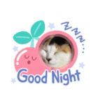 おねこ様スタンプ1（個別スタンプ：3）
