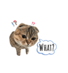 レムりんの1日（個別スタンプ：5）