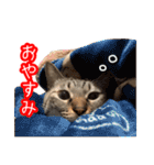 我が家のイチゴちゃんスタンプ（個別スタンプ：2）