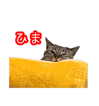 我が家のイチゴちゃんスタンプ（個別スタンプ：10）