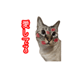 我が家のイチゴちゃんスタンプ（個別スタンプ：25）