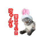 我が家のイチゴちゃんスタンプ（個別スタンプ：29）
