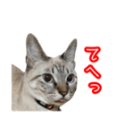 我が家のイチゴちゃんスタンプ（個別スタンプ：31）