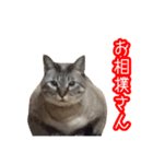 我が家のイチゴちゃんスタンプ（個別スタンプ：34）