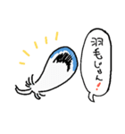 たっぷりのインコ（個別スタンプ：3）