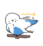 たっぷりのインコ（個別スタンプ：5）