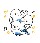 たっぷりのインコ（個別スタンプ：6）