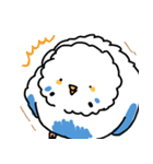 たっぷりのインコ（個別スタンプ：7）