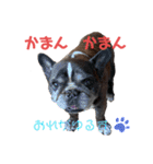 歌丸のくせ強め今治弁スタンプ（個別スタンプ：8）