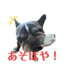 歌丸のくせ強め今治弁スタンプ（個別スタンプ：13）