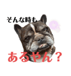 歌丸のくせ強め今治弁スタンプ（個別スタンプ：19）