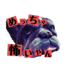 歌丸のくせ強め今治弁スタンプ（個別スタンプ：24）