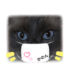 necoKKKちゃんねるpart2（個別スタンプ：1）