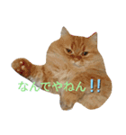 necoKKKちゃんねるpart2（個別スタンプ：13）