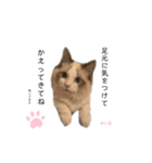 だいふくスタンプ④（個別スタンプ：10）