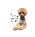 stay home latte（個別スタンプ：9）