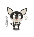 愛犬とめ吉の日常バージョン2.5（個別スタンプ：3）