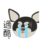 愛犬とめ吉の日常バージョン2.5（個別スタンプ：6）