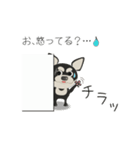 愛犬とめ吉の日常バージョン2.5（個別スタンプ：7）