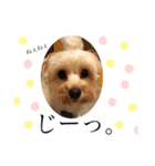 ★URU2★（個別スタンプ：4）