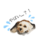 ★URU2★（個別スタンプ：5）