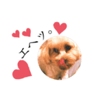 ★URU2★（個別スタンプ：7）