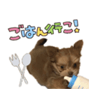 子犬のビケ（個別スタンプ：5）