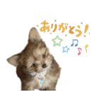 子犬のビケ（個別スタンプ：18）