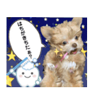 子犬のビケ（個別スタンプ：38）