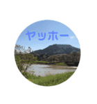 風景＋ネコ#0.0（個別スタンプ：4）
