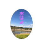 風景＋ネコ#0.0（個別スタンプ：5）