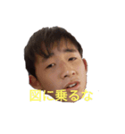 ピクルスファミリー（個別スタンプ：6）