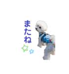 しろぷー 福スタンプ2（個別スタンプ：7）