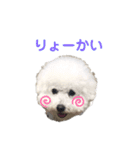 しろぷー 福スタンプ2（個別スタンプ：9）