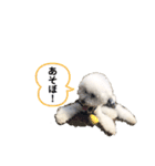 しろぷー 福スタンプ2（個別スタンプ：16）