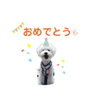 しろぷー 福スタンプ2（個別スタンプ：19）