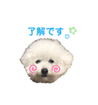 しろぷー 福スタンプ2（個別スタンプ：23）