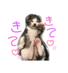 春＆櫻 Part2（個別スタンプ：3）
