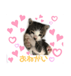 春＆櫻 Part2（個別スタンプ：6）