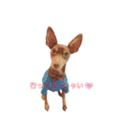 大好き❤はなちゃん（個別スタンプ：1）