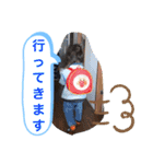 うちのちゃまだよん（個別スタンプ：10）