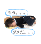 うちのちゃまだよん（個別スタンプ：11）