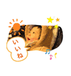 うちのちゃまだよん（個別スタンプ：24）